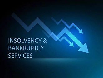 Insolvency and Bankruptcy - Insolvency Professional Services